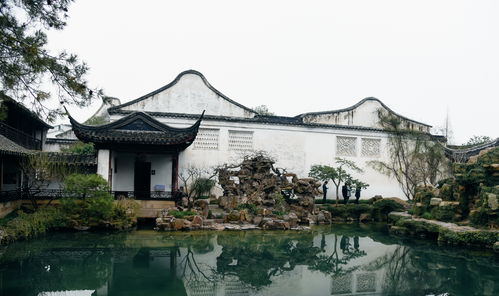 蘇州幽巷藏奇景，明軒氣韻渡重洋