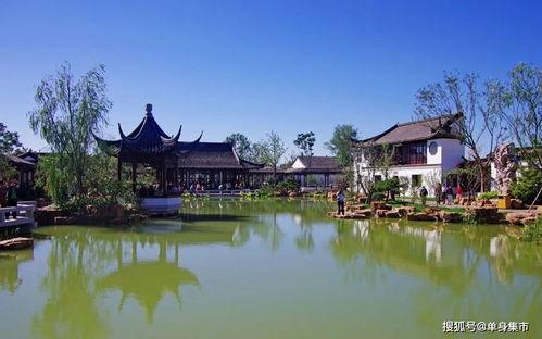 超浪漫 盤點(diǎn)深圳23個(gè)約會圣地,在這里每天都是情人節(jié)